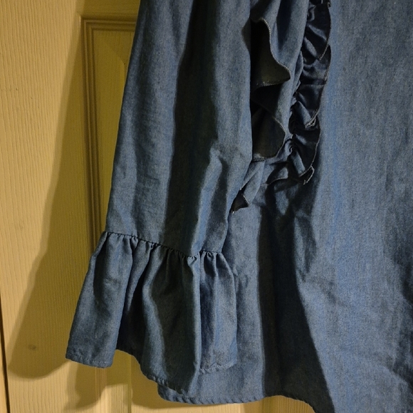 Blue Ruffled Long Sleeve Top - Picture 3 of 7